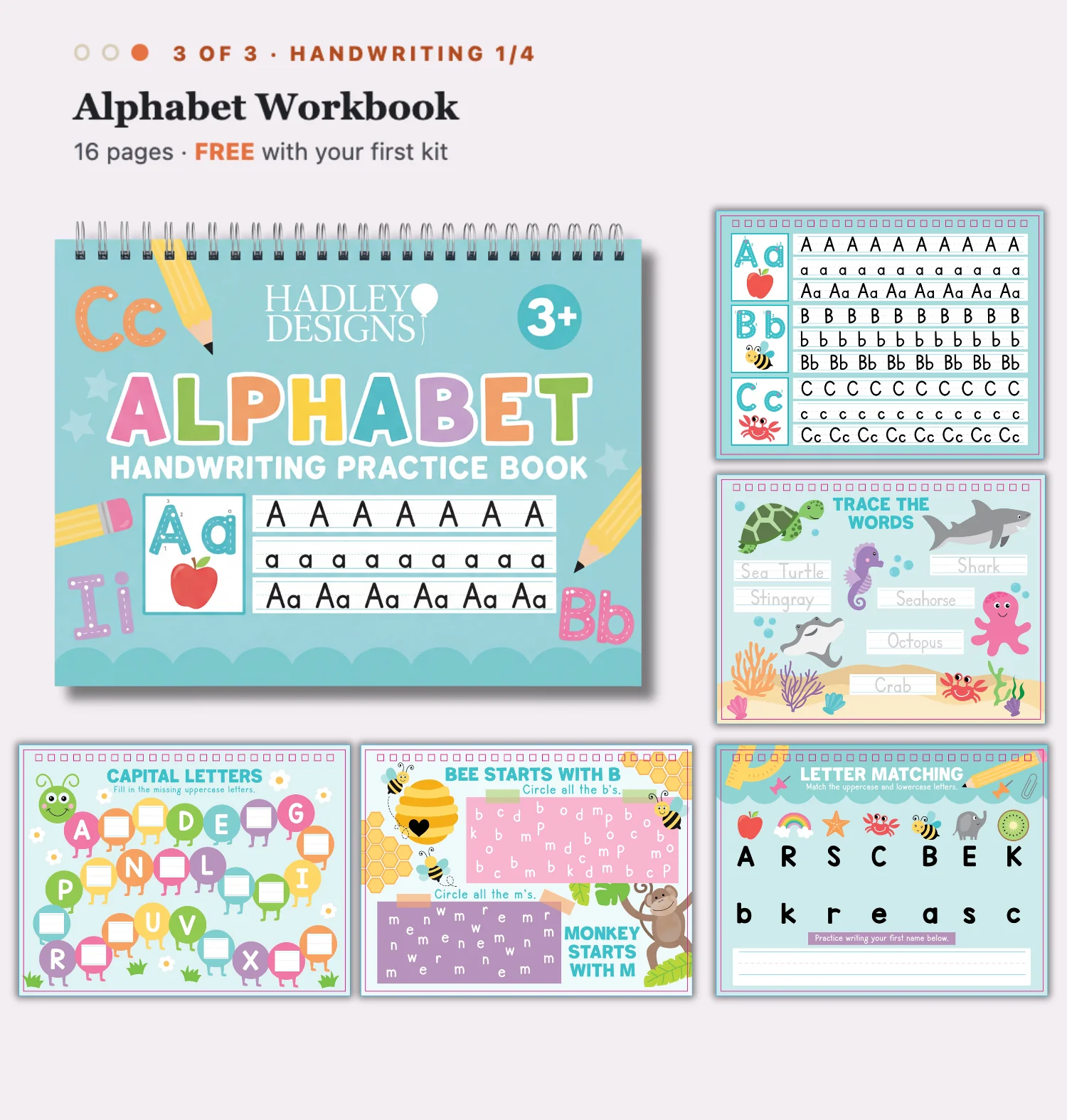 Pre-K Head Start Kit (One-Time Purchase) - Image 9